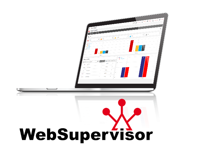 WebSupervisor